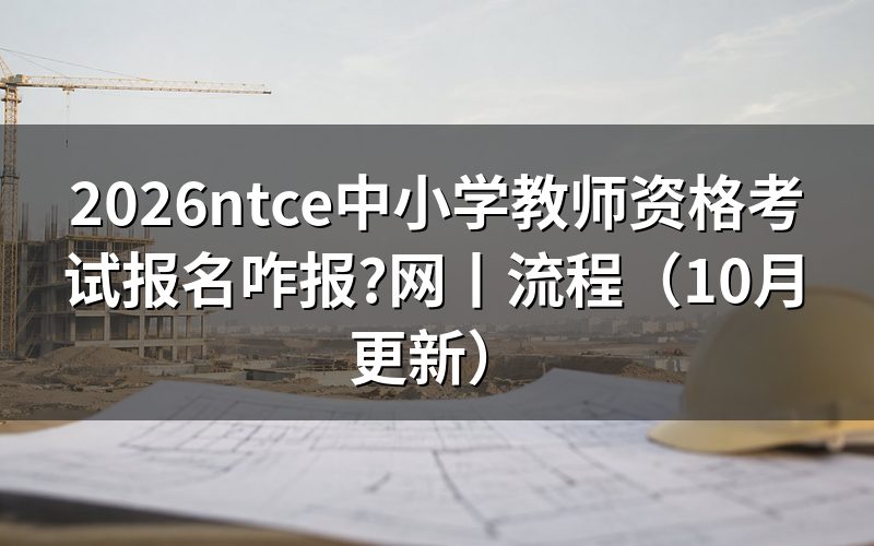 ntce中小学教师资格考试网,核对报名表入口
