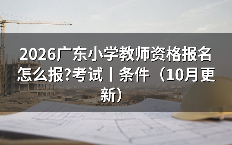 广东小学教师资格证报名时间,核对报名页