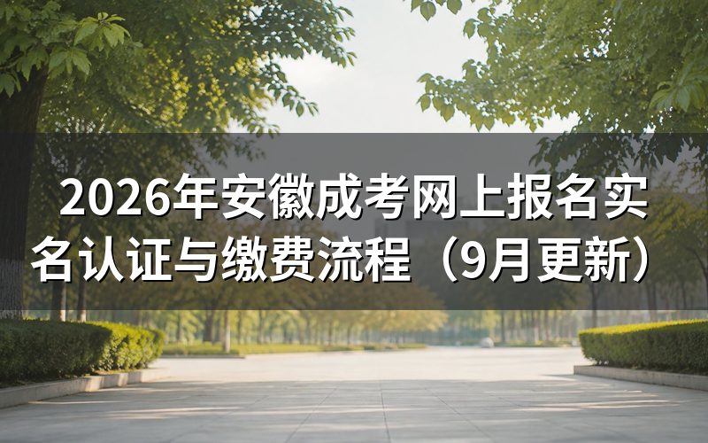 皖事通人脸与政务网L4认证