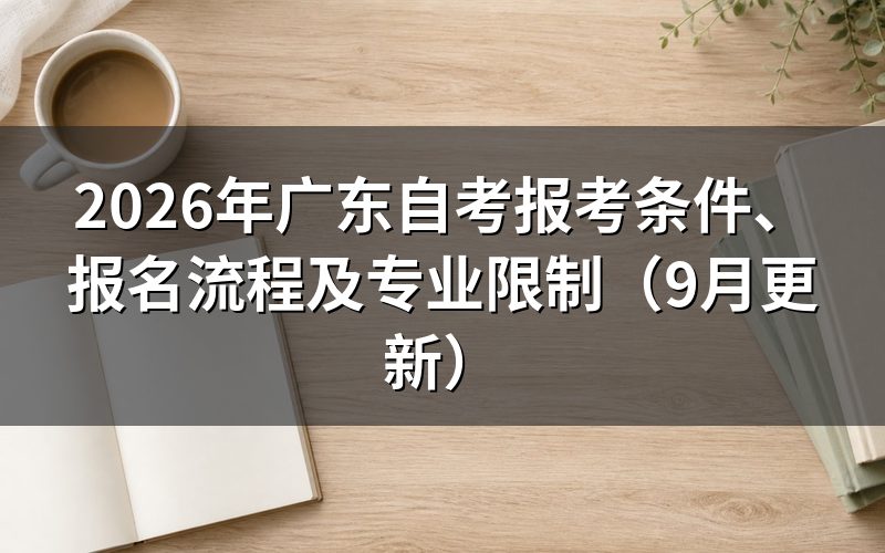 报考条件和报名流程怎么安排