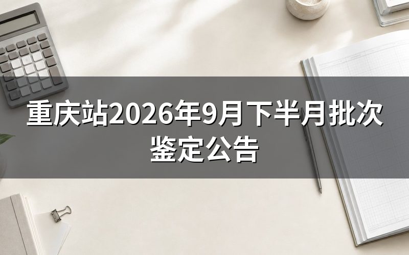 速查卡：关键信息一图看