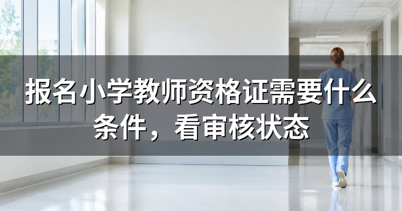 报名小学教师资格证需要什么条件，看审核状态