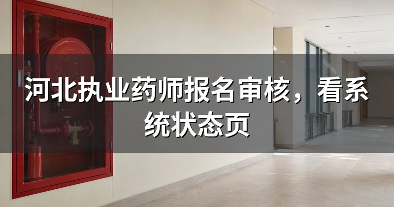 河北执业药师报名审核,看系统状态页