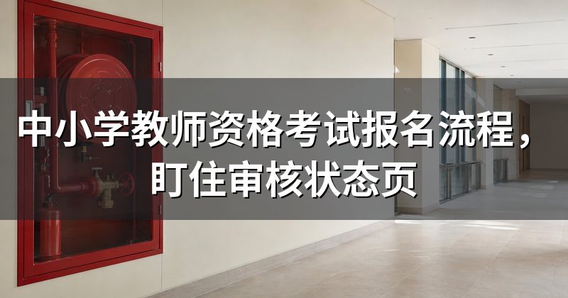 中小学教师资格考试报名流程,盯住审核状态页