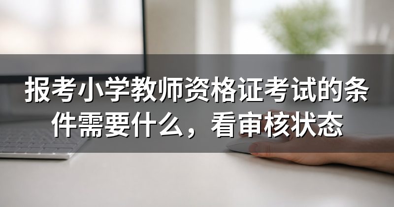 报考小学教师资格证考试的条件需要什么,看审核状态