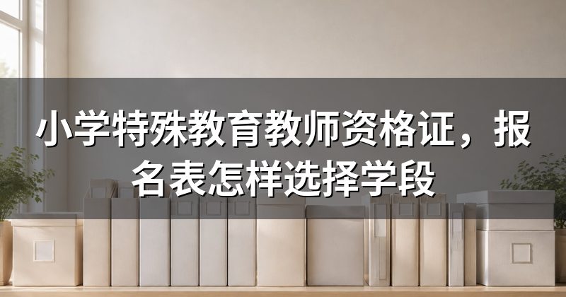 小学特殊教育教师资格证,报名表怎样选择学段