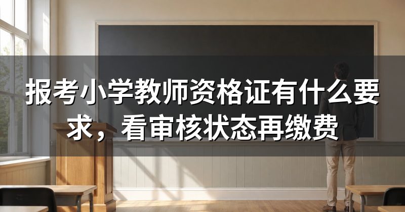 报考小学教师资格证有什么要求,看审核状态再缴费