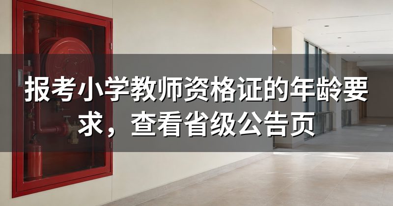 报考小学教师资格证的年龄要求,查看省级公告页