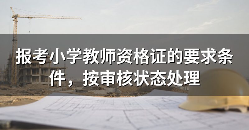 报考小学教师资格证的要求条件，按审核状态处理