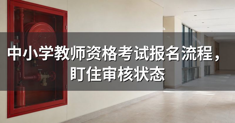 中小学教师资格考试报名流程，盯住审核状态