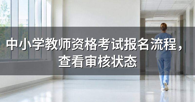 中小学教师资格考试报名流程,查看审核状态