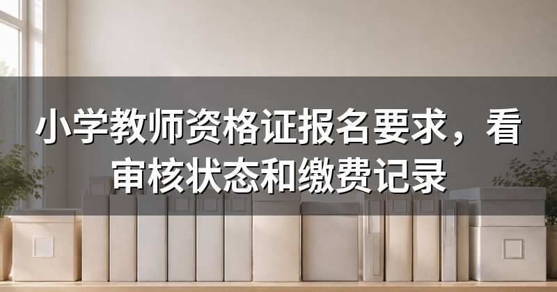 小学教师资格证报名要求，看审核状态和缴费记录