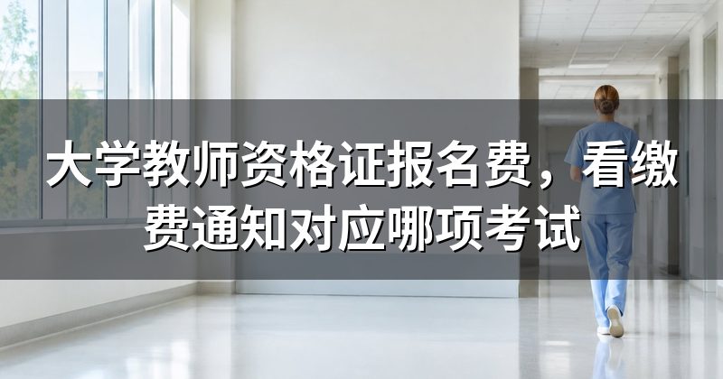 大学教师资格证报名费,看缴费通知对应哪项考试