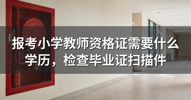 报考小学教师资格证需要什么学历，检查毕业证扫描件