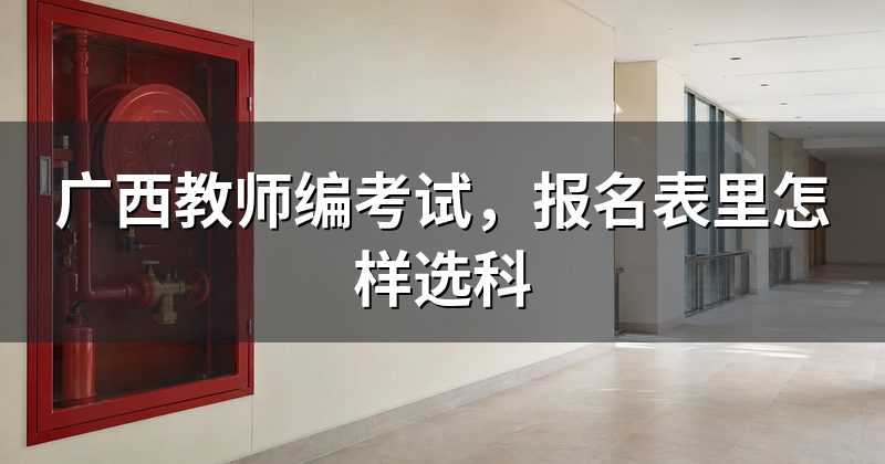 广西教师编考试,报名表里怎样选科
