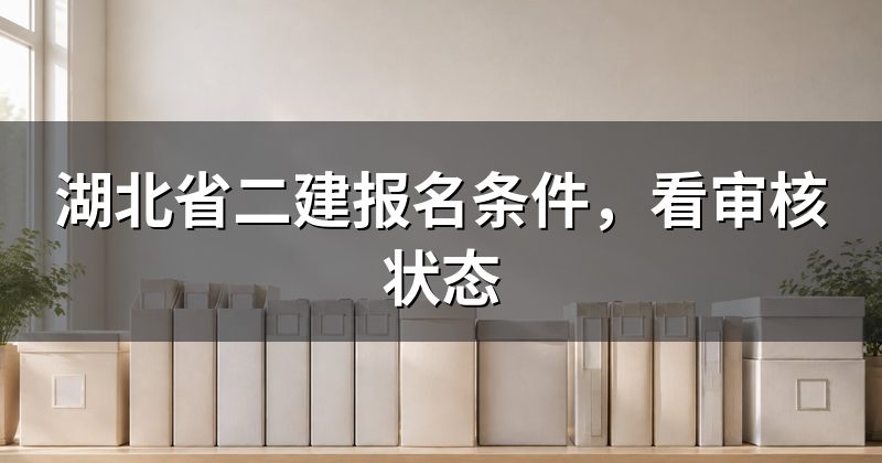 湖北省二建报名条件,看审核状态