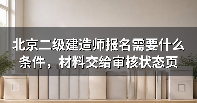 北京二级建造师报名需要什么条件，材料交给审核状态页