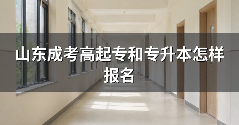 山东成考高起专和专升本怎样报名