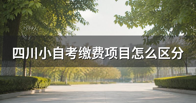 四川小自考缴费项目怎么区分