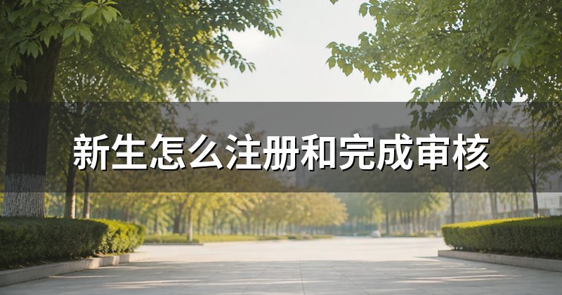 新生怎么注册和完成审核