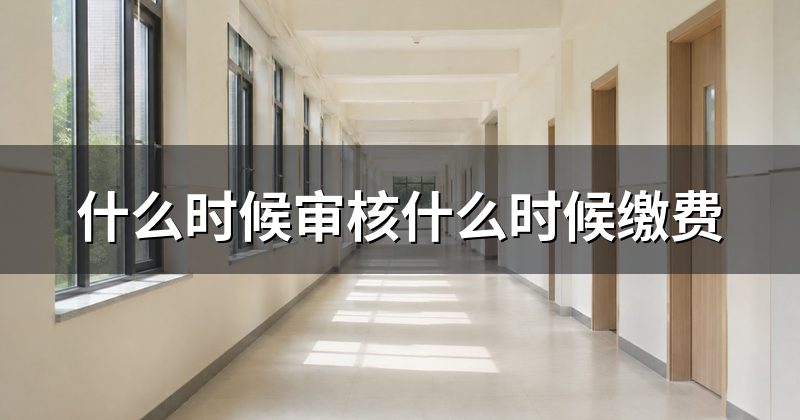 什么时候审核什么时候缴费