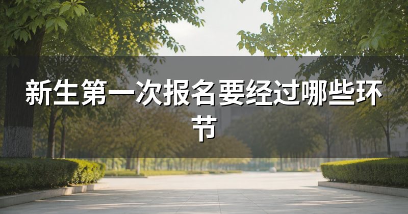 新生第一次报名要经过哪些环节