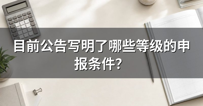目前公告写明了哪些等级的申报条件？