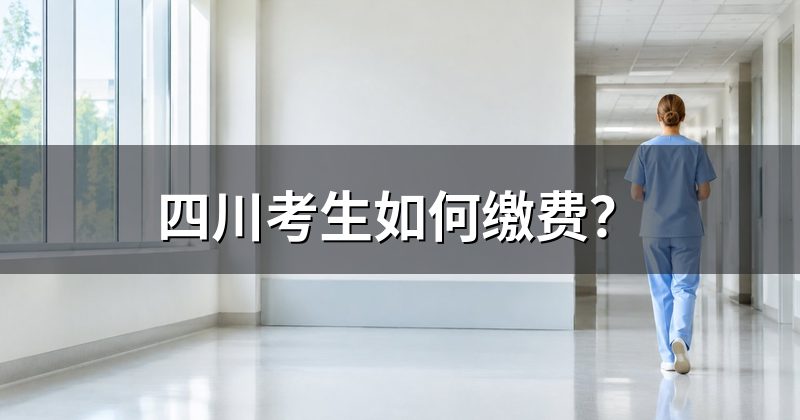四川考生如何缴费？
