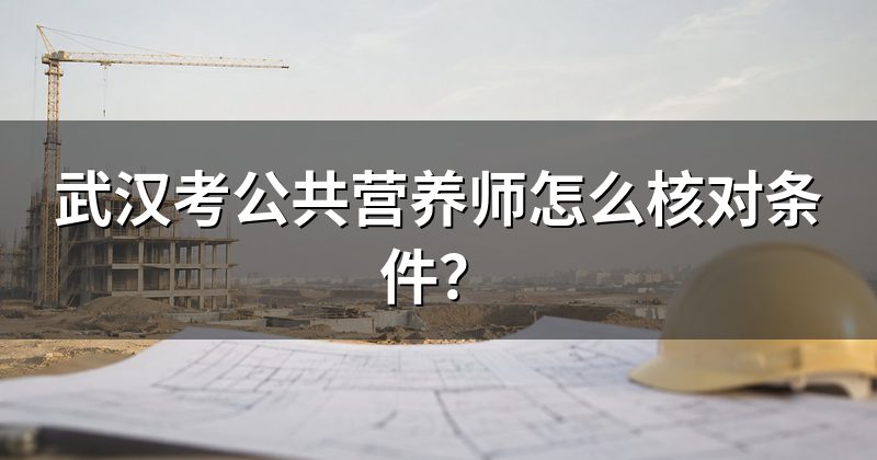 武汉考公共营养师怎么核对条件？