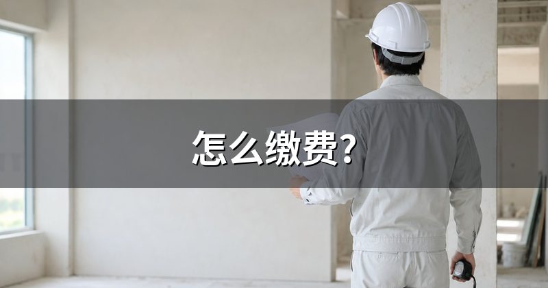 怎么缴费?