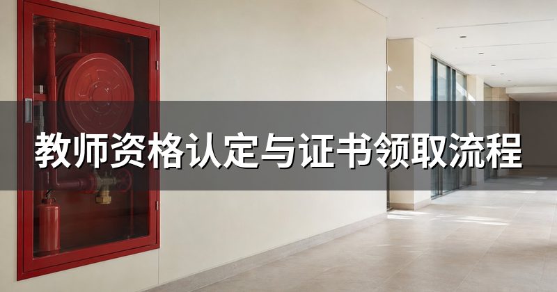 教师资格认定与证书领取流程