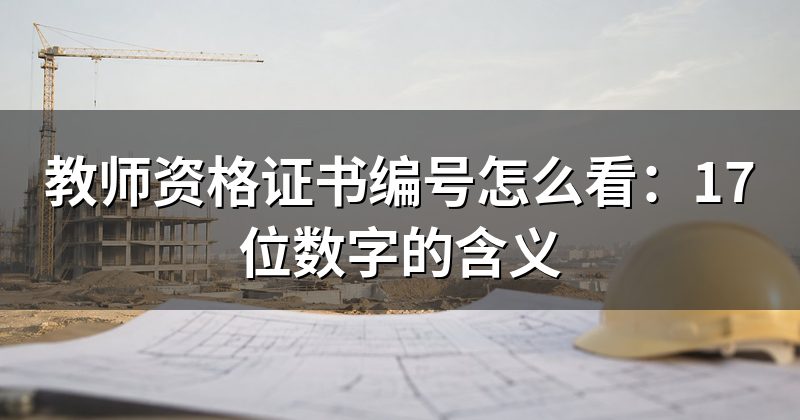官方查询入口对照