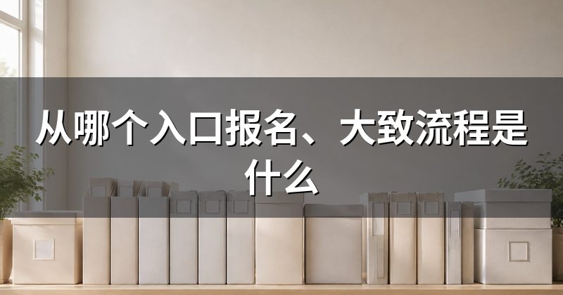 从哪个入口报名、大致流程是什么