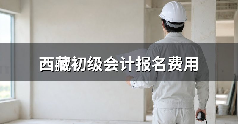 西藏初级会计报名费用