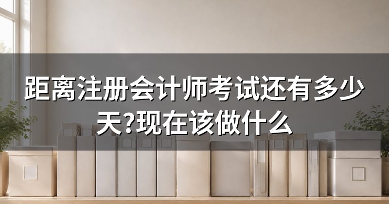 距离注册会计师考试还有多少天?现在该做什么