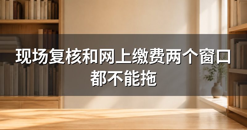 现场复核和网上缴费两个窗口都不能拖