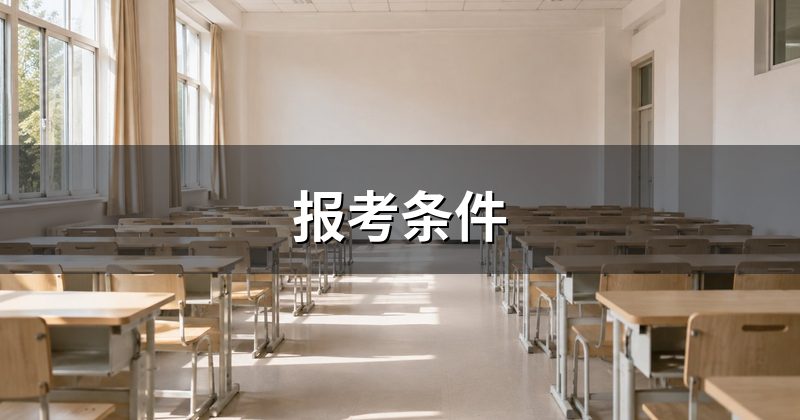 报考条件