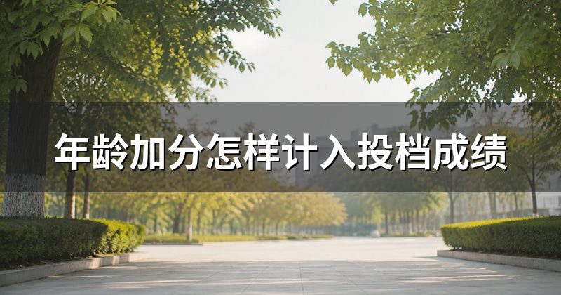 年龄加分怎样计入投档成绩