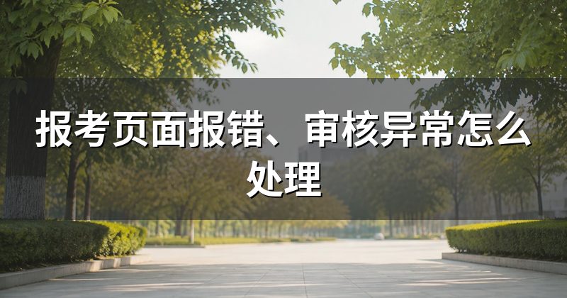 报考页面报错、审核异常怎么处理