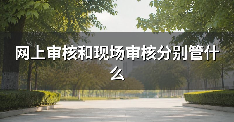 网上审核和现场审核分别管什么
