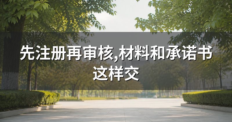 先注册再审核,材料和承诺书这样交