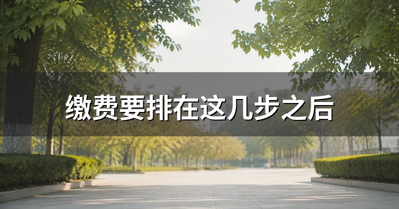 缴费要排在这几步之后