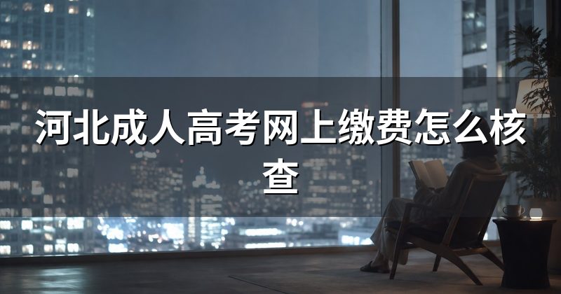 河北成人高考网上缴费怎么核查