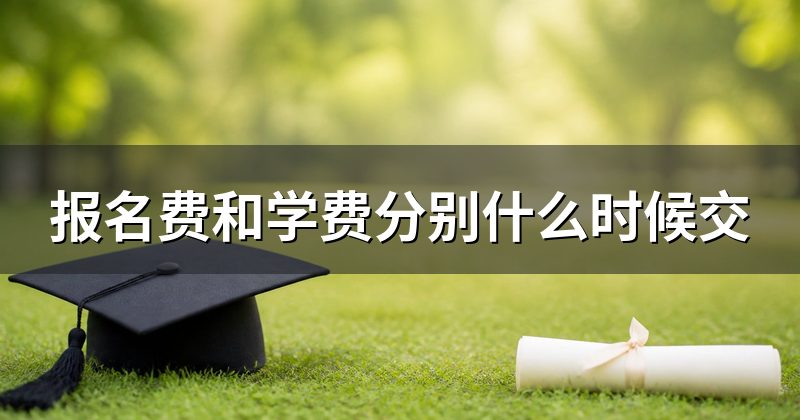 报名费和学费分别什么时候交
