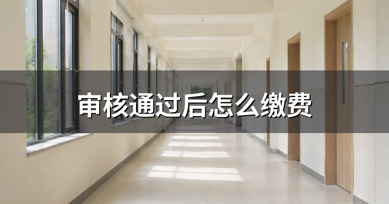 审核通过后怎么缴费