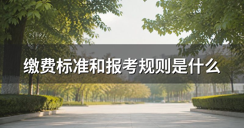 缴费标准和报考规则是什么