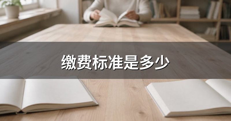 缴费标准是多少
