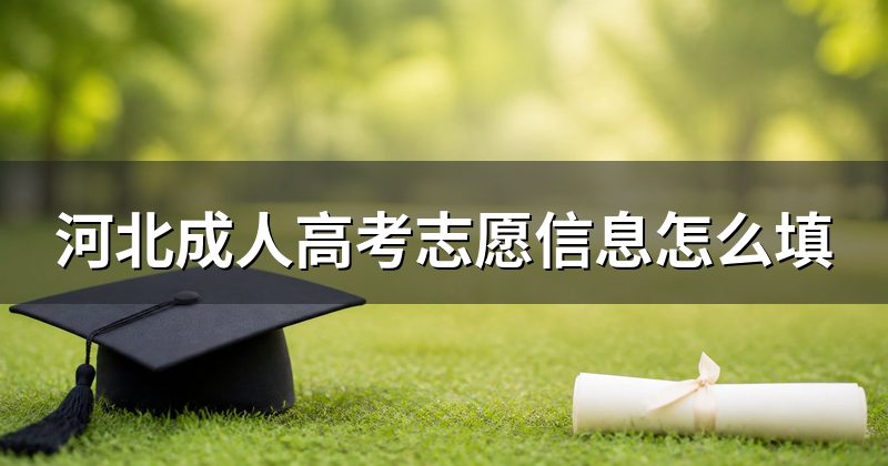 河北成人高考志愿信息怎么填