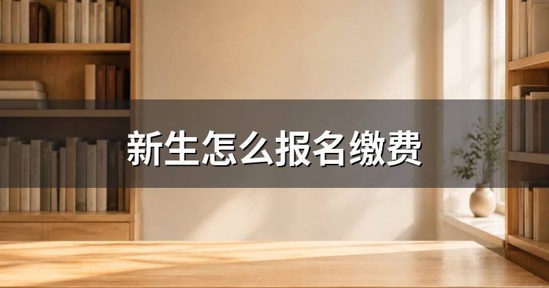新生怎么报名缴费