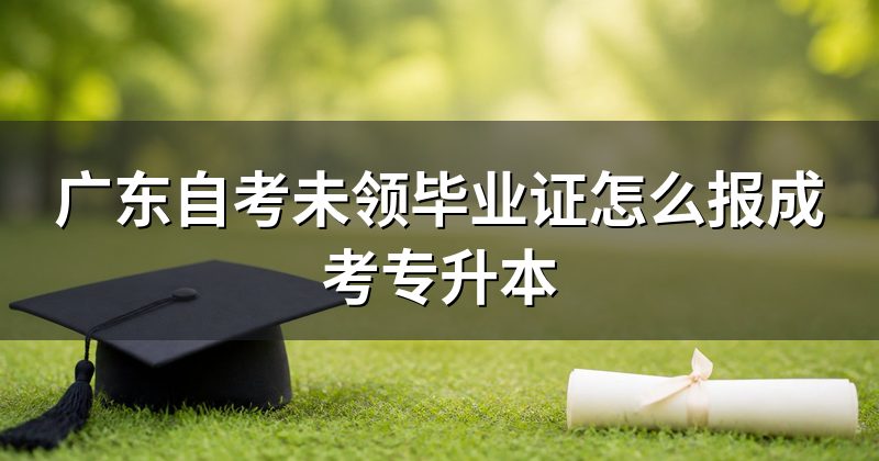 广东自考未领毕业证怎么报成考专升本